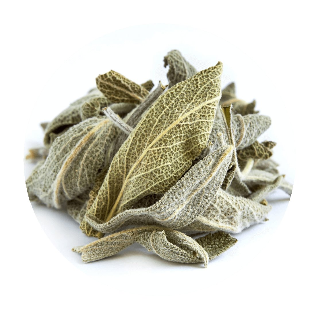 Greek Sage Tea – Wildcrafted Salvia fruticosa from Crete (Loose Leaf)