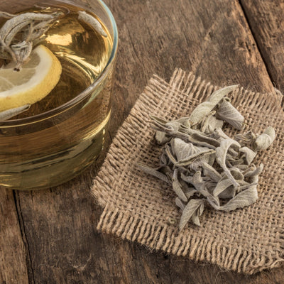 Greek Sage Tea – Wildcrafted Salvia fruticosa from Crete (Loose Leaf)