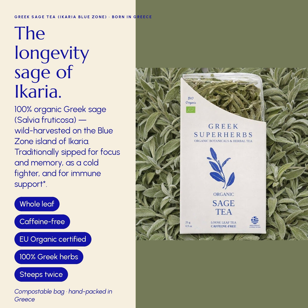 Wildcrafted Greek Sage Tea – Premium Loose Leaf from Crete