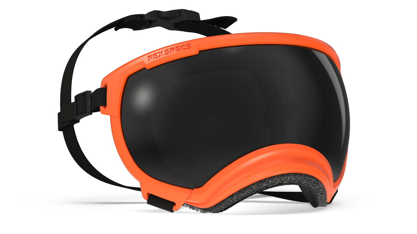 Rex Specs Dog Goggles - Ultimate Eye Protection for Adventures - Korvel