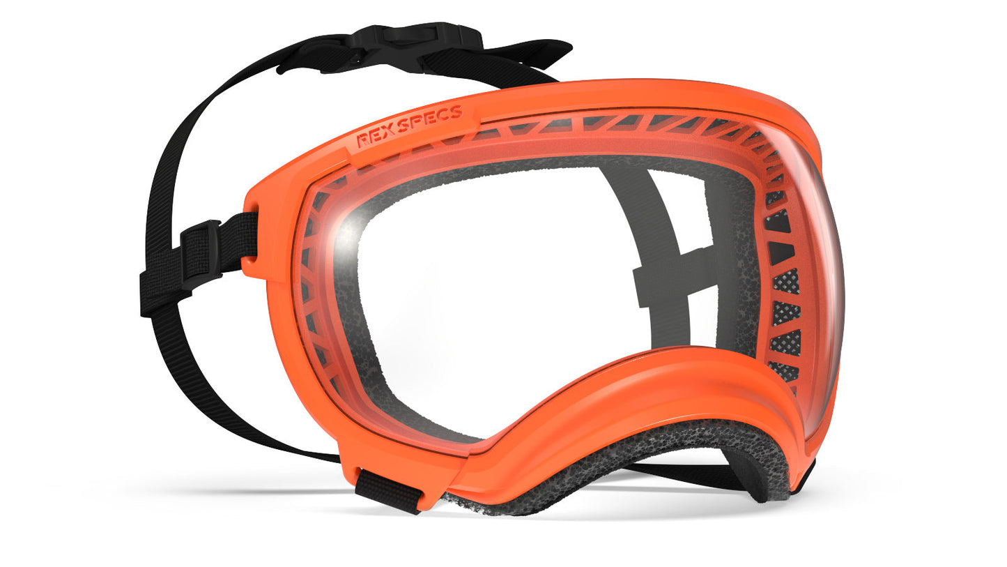 Rex Specs Dog Goggles - Ultimate Eye Protection for Adventures - Korvel