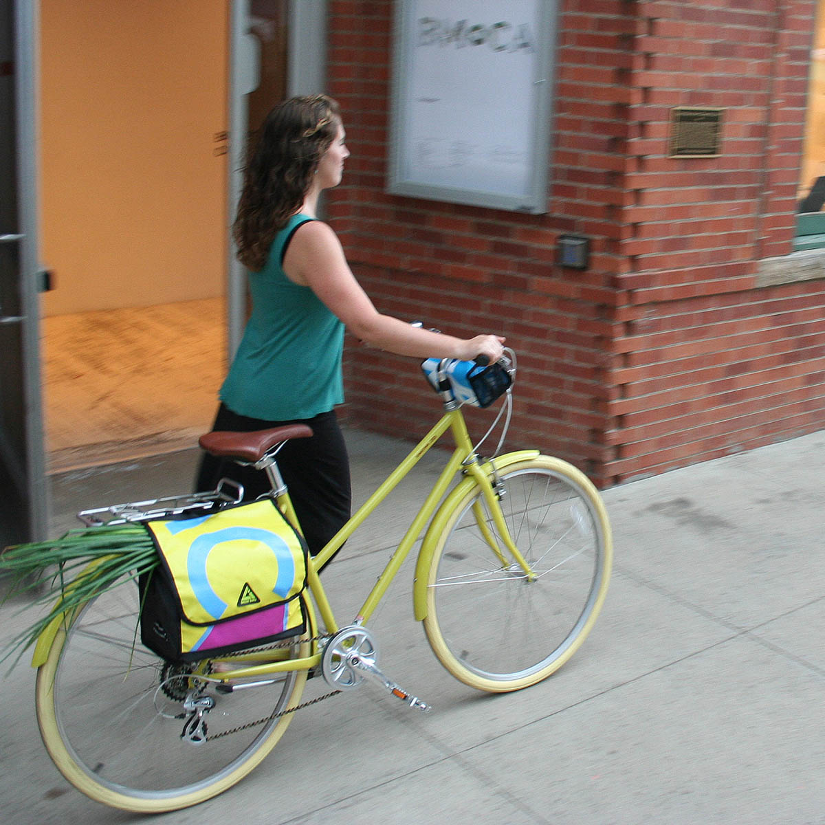 Green Guru Dutchy Urban Pannier