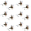 H & L Variant Classic Dry Fly - 1 Dozen Flies Hook Size 14