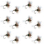 H & L Variant Classic Dry Fly - 12 Premium Size 16 Flies - Korvel