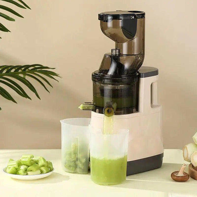 Machine à jus automatique à haute extraction pour un usage domestique