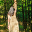 Cloche à main en corde de graines d'oleandre Chacha fait main - Décor naturel