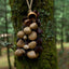 Carillon en Coquilles de Graines Fait Main – Son Naturel de la Forêt Tropicale
