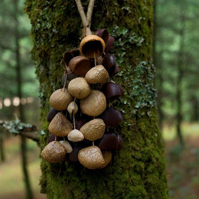 Handmade Seed Shell Wind Chime – Natural Rainforest Sound