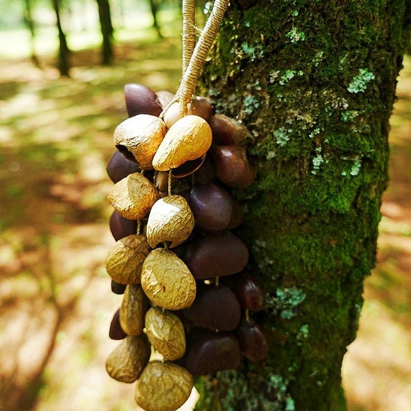 Carillon en Coquilles de Graines Fait Main – Son Naturel de la Forêt Tropicale