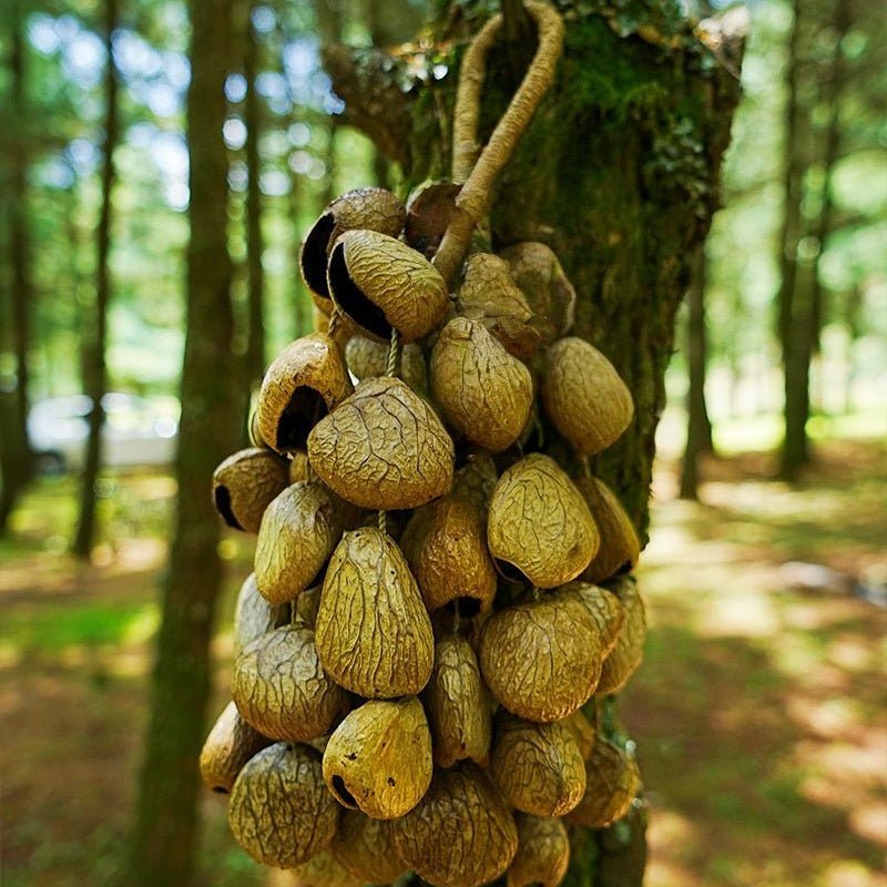 Handmade Panji White Fruit Seed Shell Hand Bell