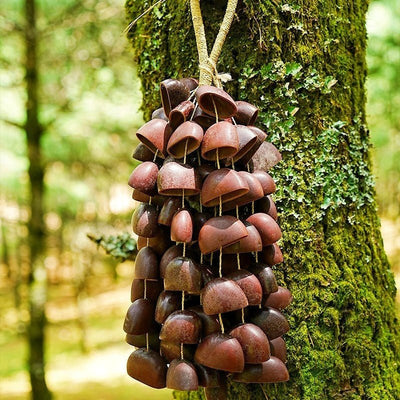 Handmade Juju Duckfoot Vine Seed Shell Hand Bell