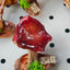 Handcrafted Real-Mushroom Fridge Magnets – Nature Preserved in Art