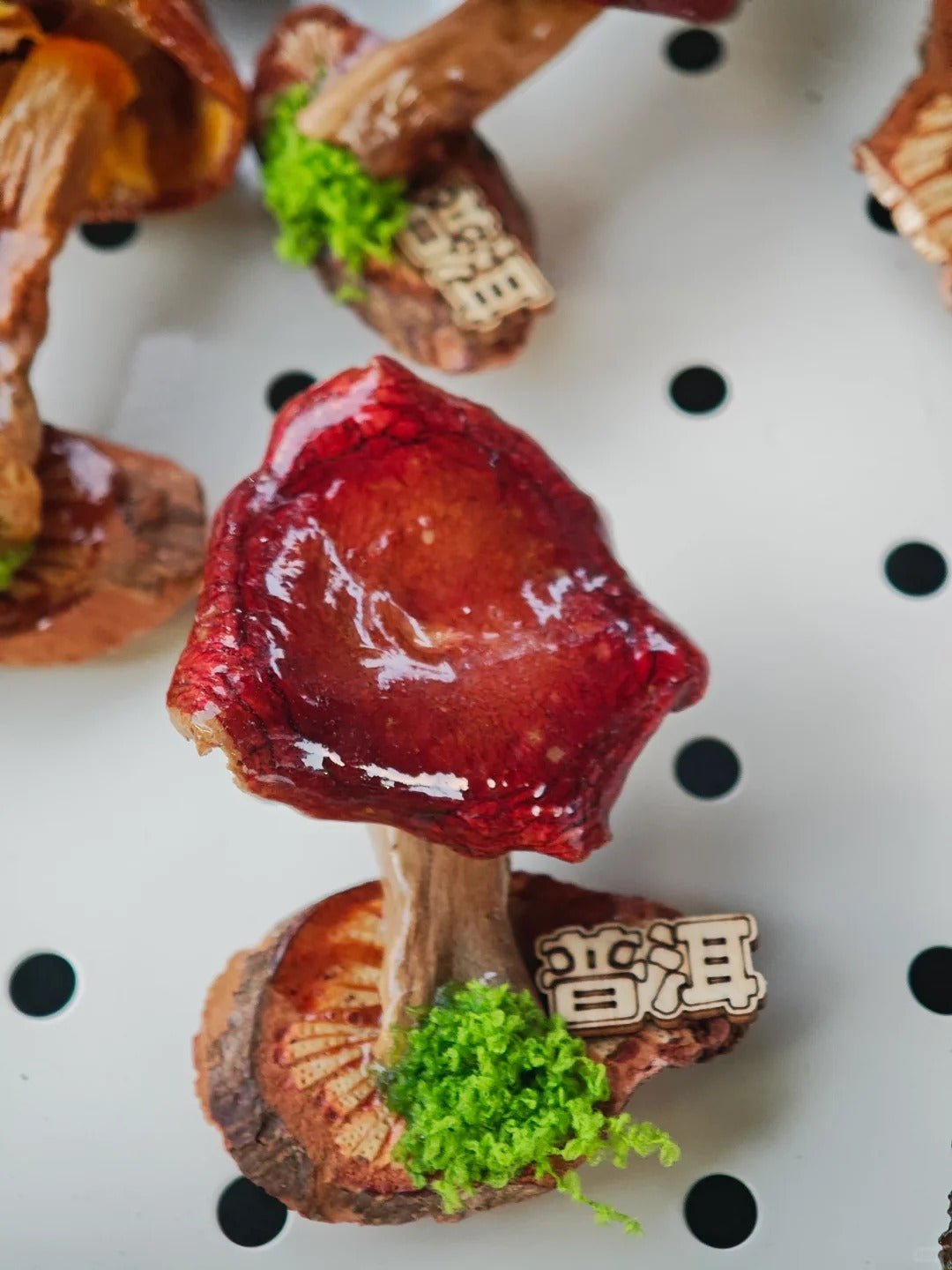 Handcrafted Real-Mushroom Fridge Magnets – Nature Preserved in Art