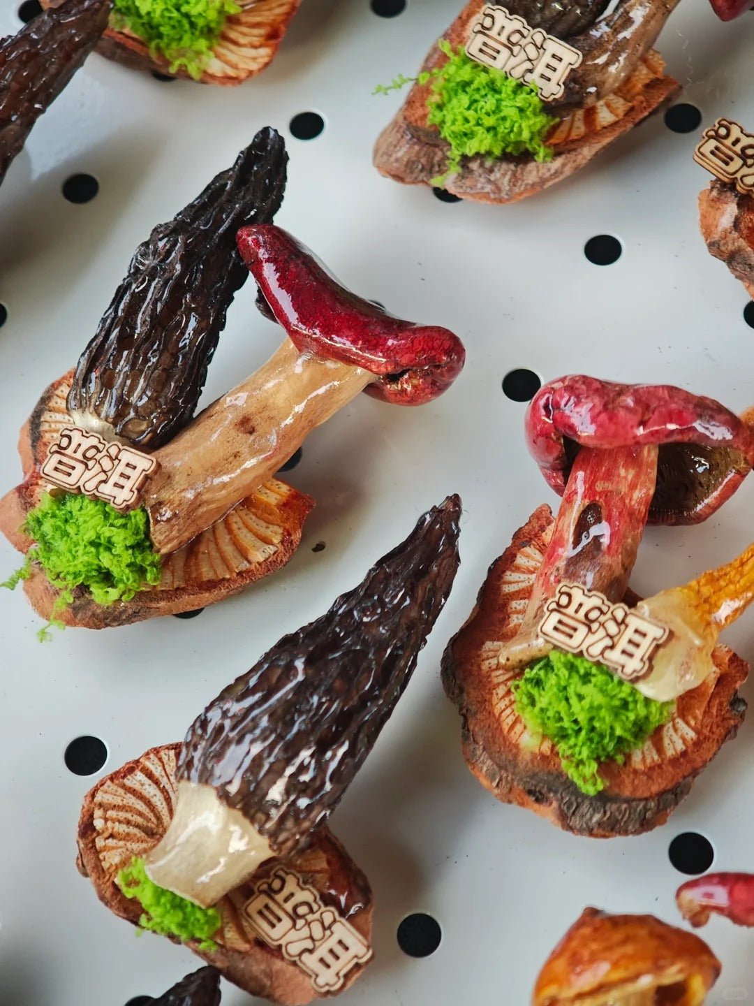 Handcrafted Real-Mushroom Fridge Magnets – Nature Preserved in Art