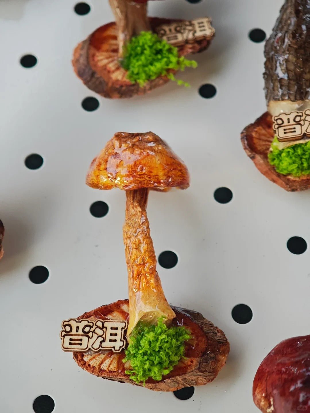 Handcrafted Real-Mushroom Fridge Magnets – Nature Preserved in Art