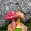 Handcrafted Real-Mushroom Fridge Magnets – Nature Preserved in Art