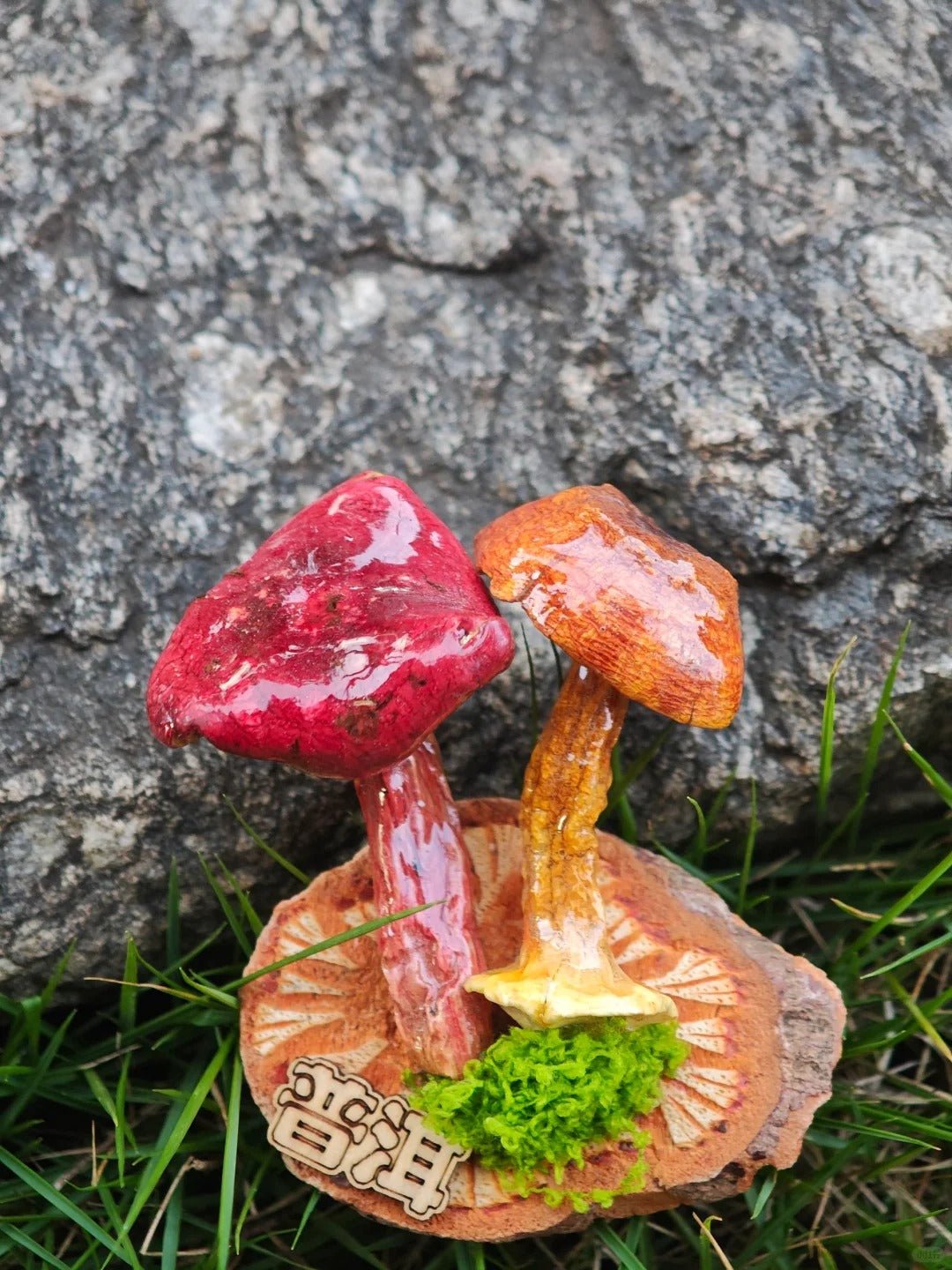 Handcrafted Real-Mushroom Fridge Magnets – Nature Preserved in Art