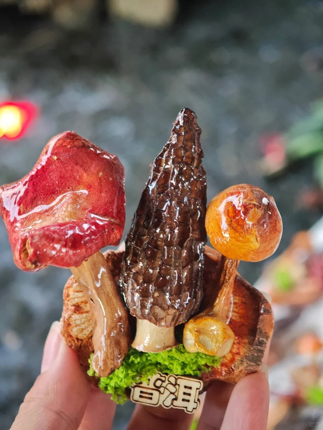 Handcrafted Real-Mushroom Fridge Magnets – Nature Preserved in Art
