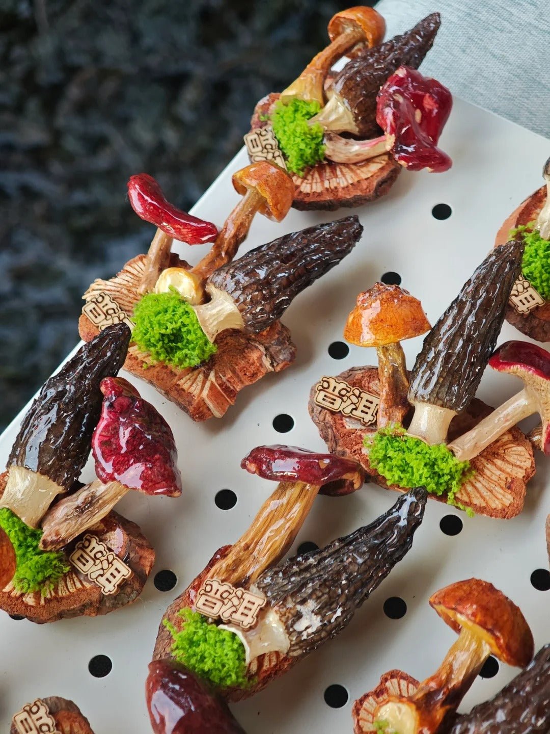 Handcrafted Real-Mushroom Fridge Magnets – Nature Preserved in Art