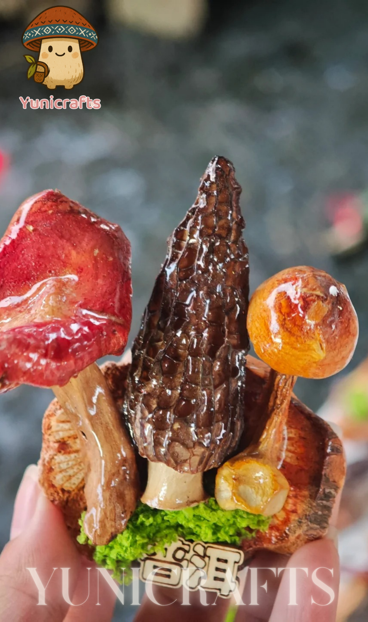 Handcrafted Real-Mushroom Fridge Magnets – Nature Preserved in Art
