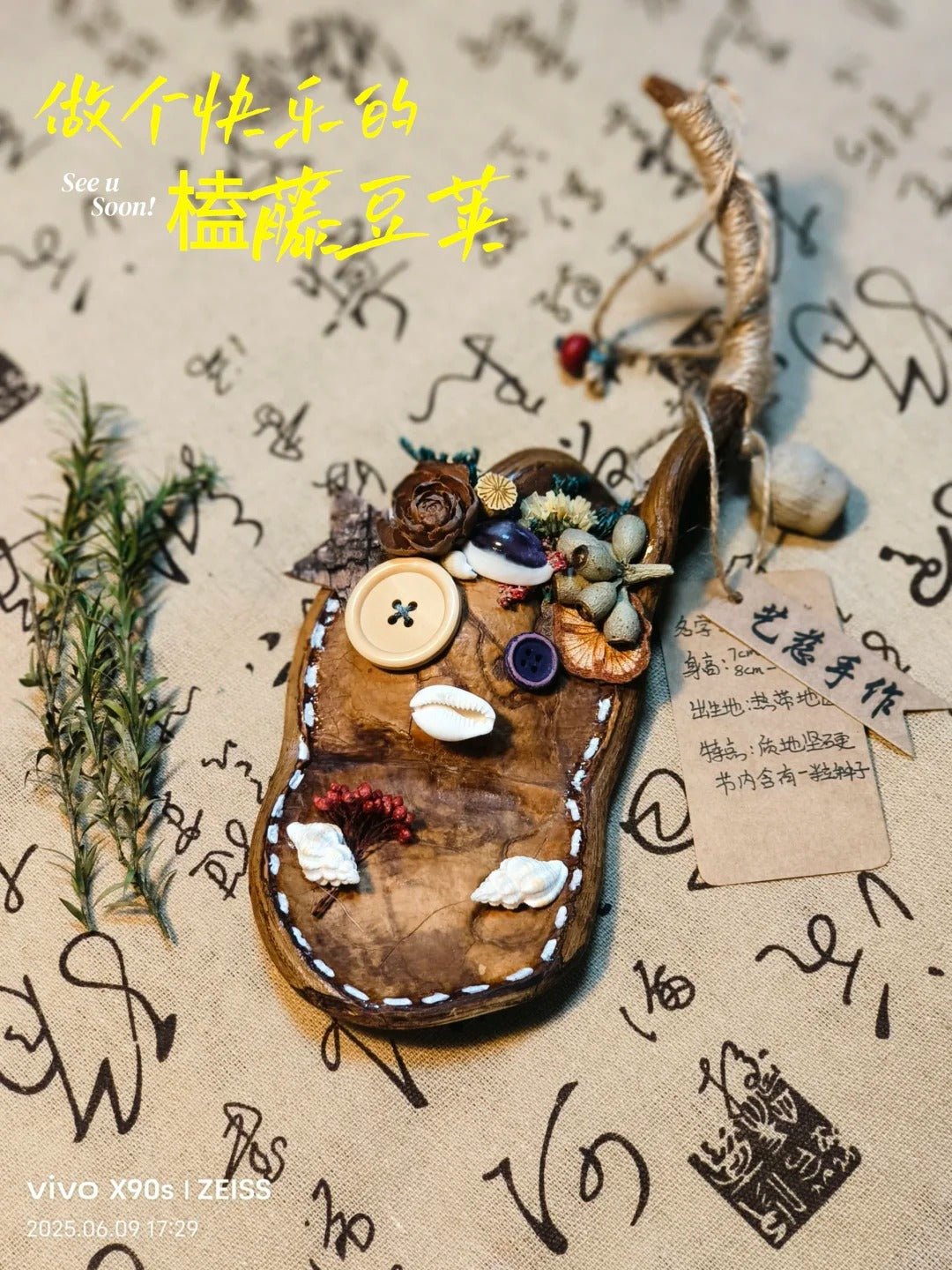 Handmade Entada Pod Ornament with Spinning Feature