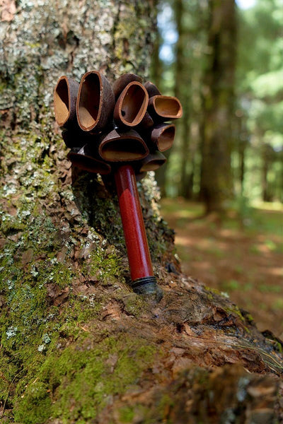 Handmade Juju Seed Pod Wooden Handle Shaker