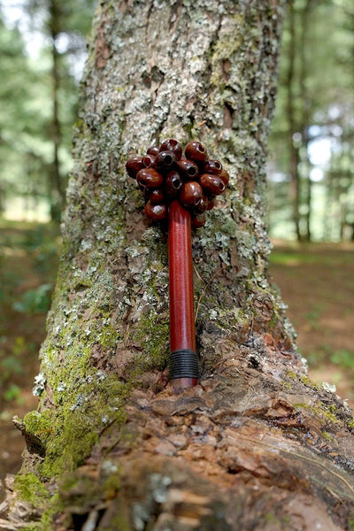 Handmade Pala Cardamom Seed Pod Wooden Handle Shaker