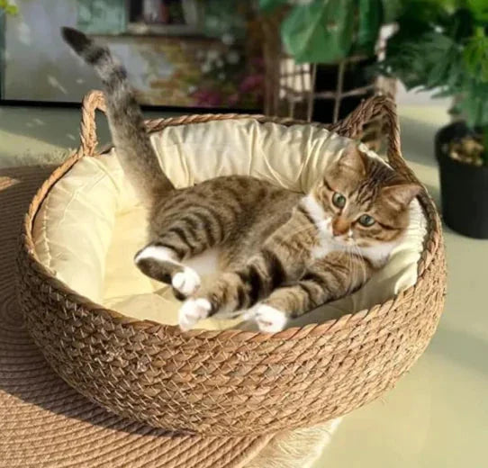 Handmade Pet House - Korvel