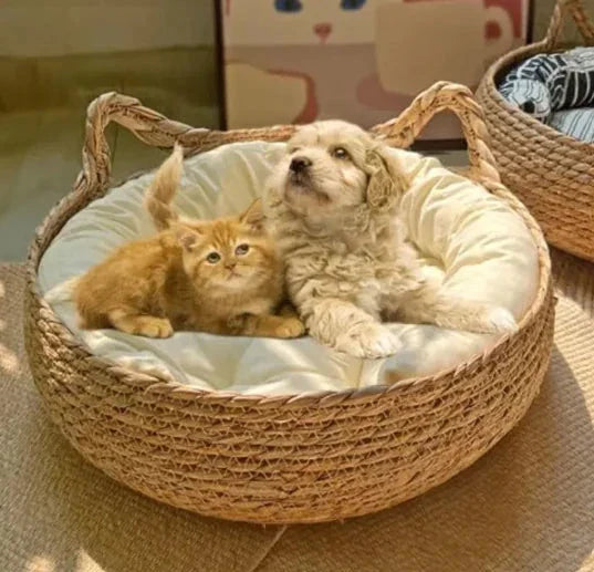 Handmade Pet House - Korvel