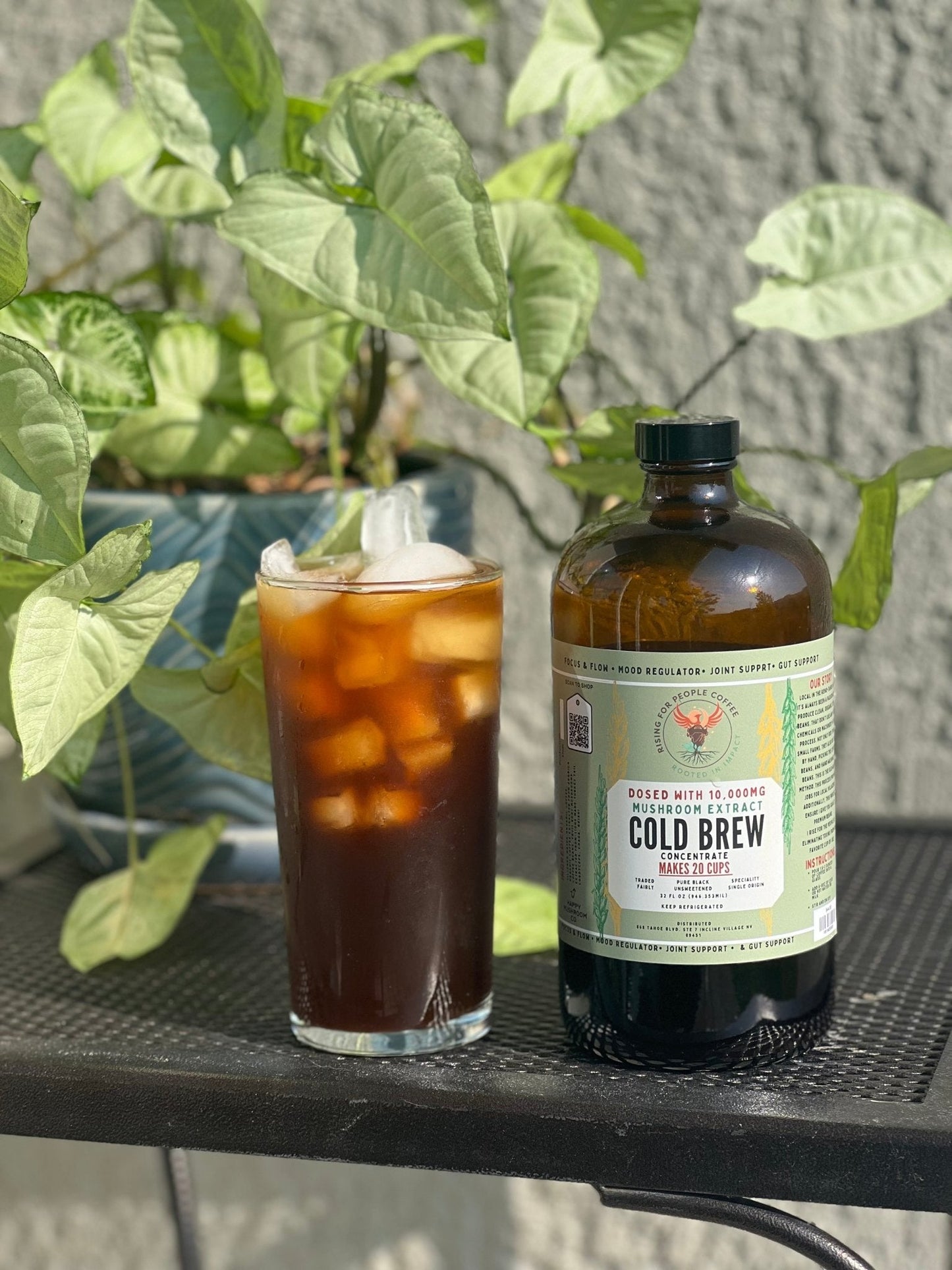 Café Cold Brew concentrado Happy Mushroom