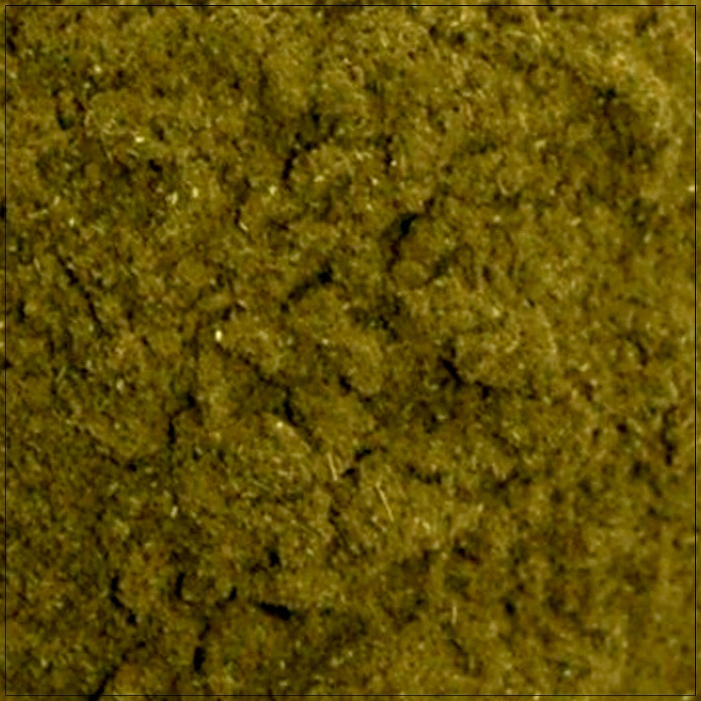 Poudre de Horny Goat Weed Premium