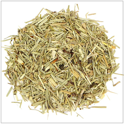 Premium Horsetail Herb for Culinary and Herbal Uses