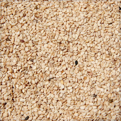 Premium Hulled Sesame Seeds