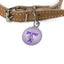 I Have Epilepsy Pet Tag - Durable Metal Design
