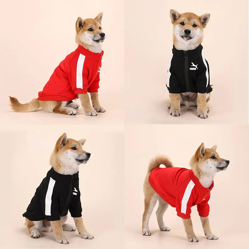 Hoodie de luxe pour chien d'hiver