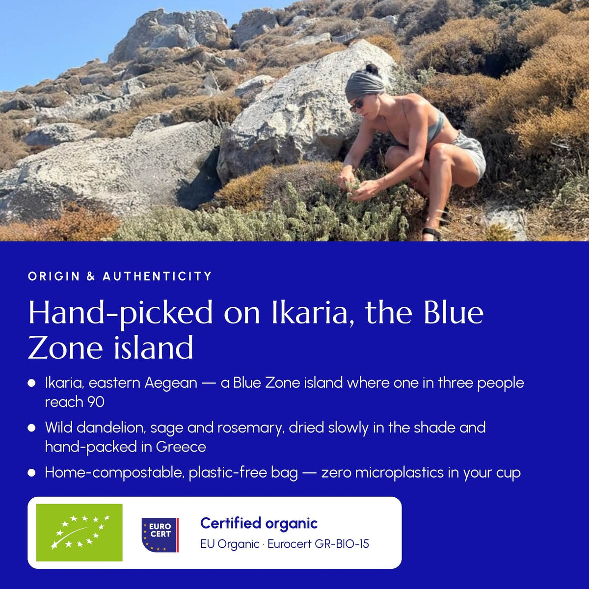 Té de hierbas Ikaria: mezcla revitalizante de la Zona Azul con diente de león, salvia y romero