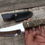 Premium D2 Steel Hunting Knife with Authentic Mountain Sheep Horn Handle – 8.5" | KBS Knives - Korvel