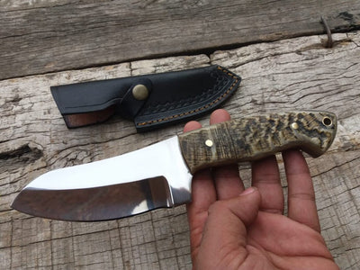 Premium D2 Steel Hunting Knife with Authentic Mountain Sheep Horn Handle – 8.5" | KBS Knives - Korvel