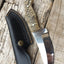 Premium D2 Steel Hunting Knife with Authentic Mountain Sheep Horn Handle – 8.5" | KBS Knives - Korvel