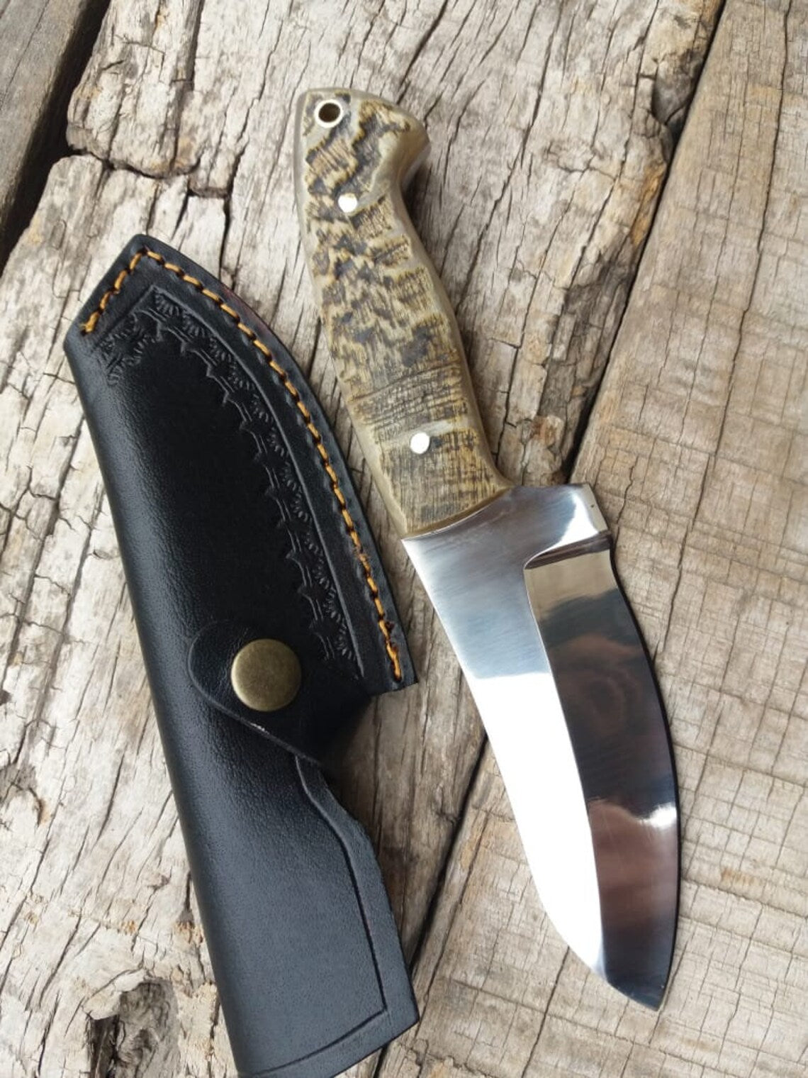 Premium D2 Steel Hunting Knife with Authentic Mountain Sheep Horn Handle – 8.5" | KBS Knives - Korvel