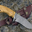 Handcrafted Olive Wood Hunting Knife with Damascus Steel Blade - Korvel