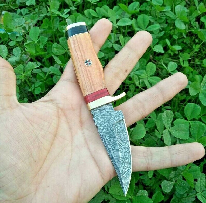 Premium Damascus EDC Skinning Knife | Olive Wood Handle with Brass Guard | 6" | KBS Knives - Korvel