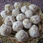 Bolas de Donut Keto - Delicias Sin Gluten, Veganas y Bajas en Carbohidratos