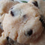 KETO Chocolate Chip Cookies - Grain Free & Vegan Treats