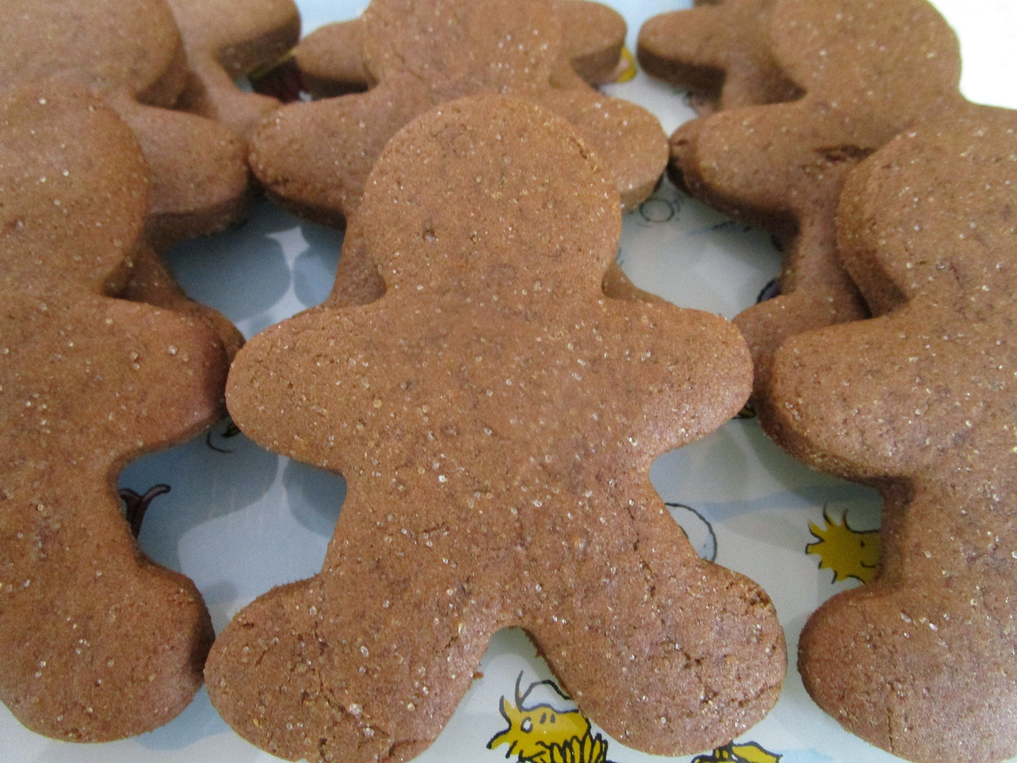 Biscuits en pain d'épices sans sucre - Végétalien et sans gluten