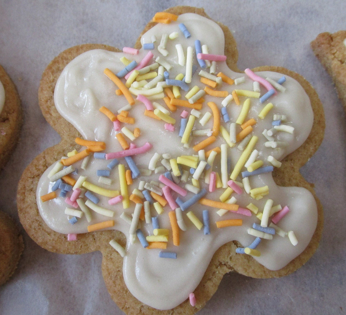 Galletas Veganas Sin Azúcar - Delicias Sin Gluten y Sin Lácteos