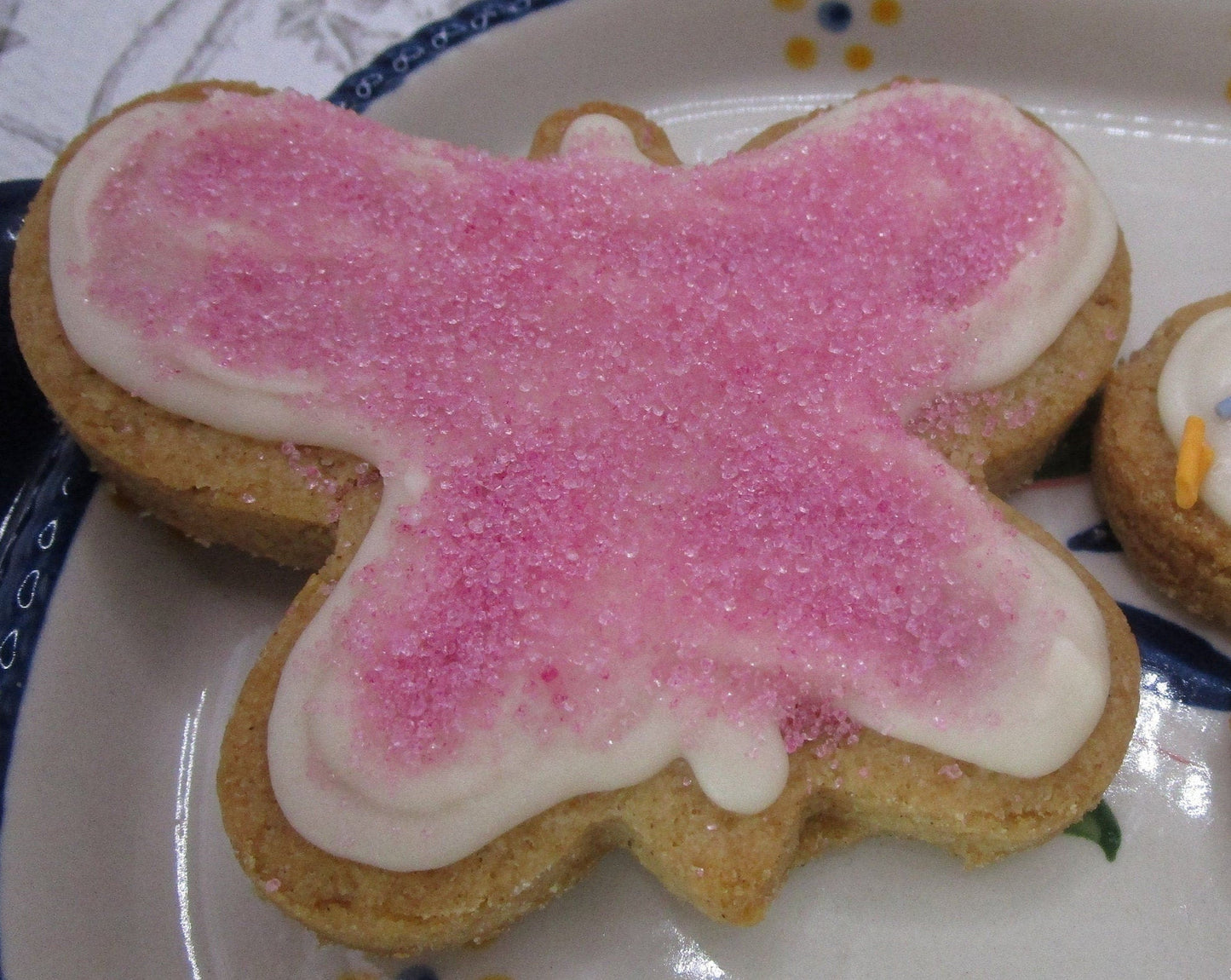 Échantillon de biscuits sans sucre - Délices sans gluten et véganes