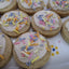 Galletas Premium Sin Azúcar - Delicias Sin Gluten y Veganas