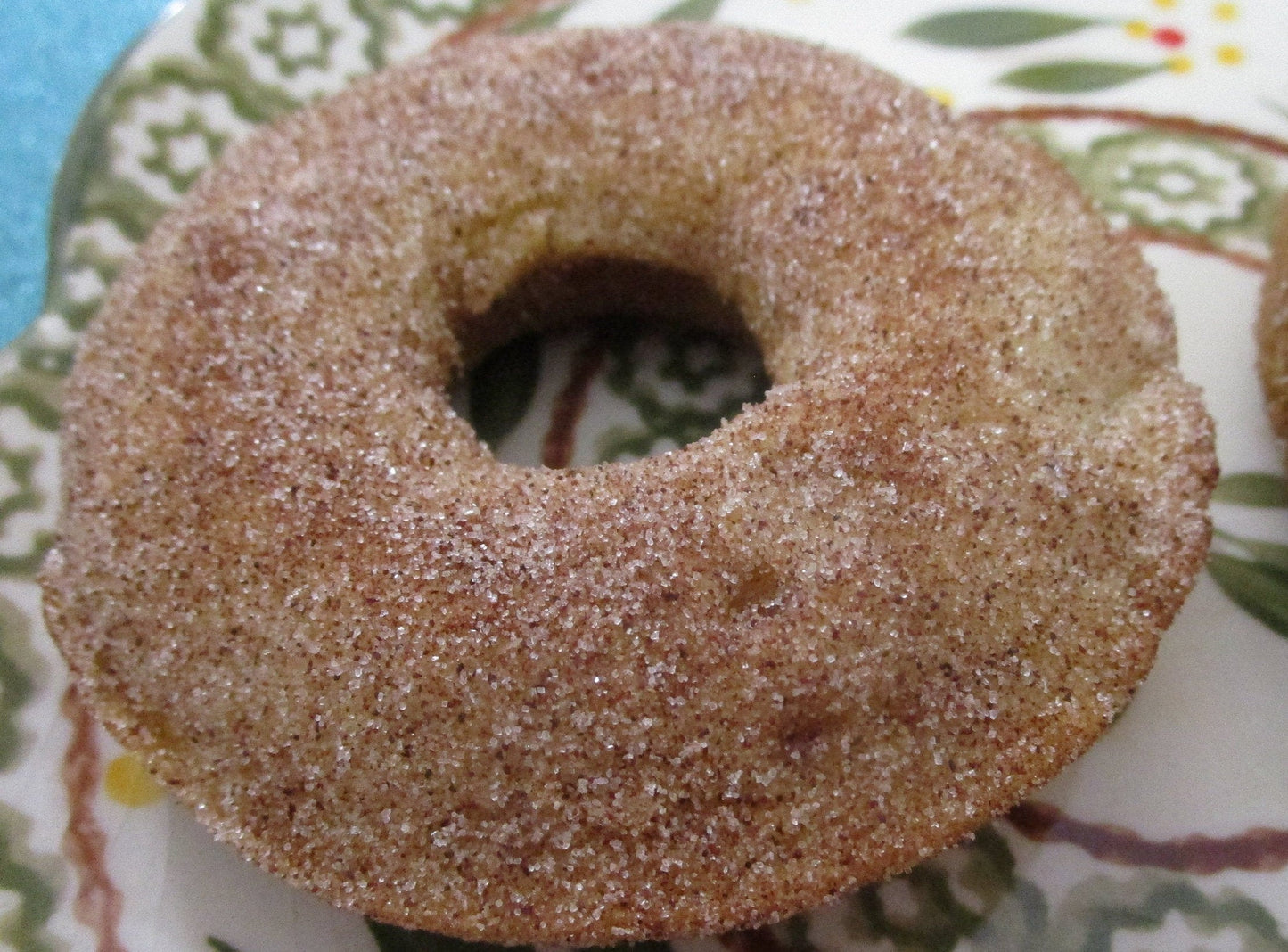 Sugar Free Vegan Donuts - Cinnamon & French Toast Flavors