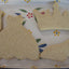 Kit de biscuits princesse sans gluten - Sans œufs et sans produits laitiers